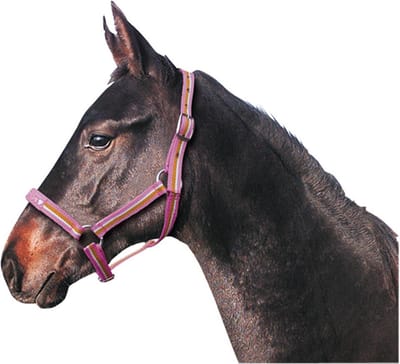 Premiere Veulenhalster Fun XS veulen Pink
