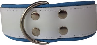 Dog's Companion - Leren hondenhalsband wit / lichtblauw - Leren hondenhalsband wit / lichtblauw