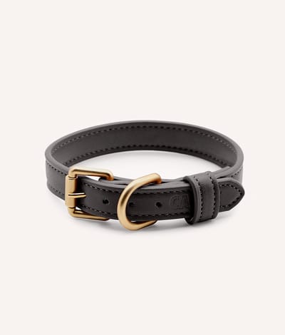 Vegan leren halsband – Zwart – Comfortabel & verstelbaar – Jala