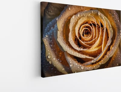 Saammp Canvas Schilderij - Gouden Roos Met Waterdruppels - Natuur - Abstract - 30x20 - Foto op canvas - Wanddecoratie - Muurdecoratie Woonkamer - Kantoor Decoratie