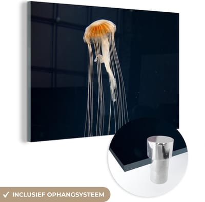 MuchoWow® Glasschilderij 120x80 cm - Schilderij acrylglas - Kwal - Zeedier - Tentakels - Foto op glas - Schilderijen