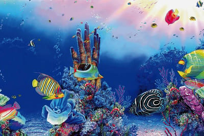 SuperFish Deco Poster F 60x30CM