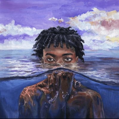 Redveil - Learn 2 Swim (LP)