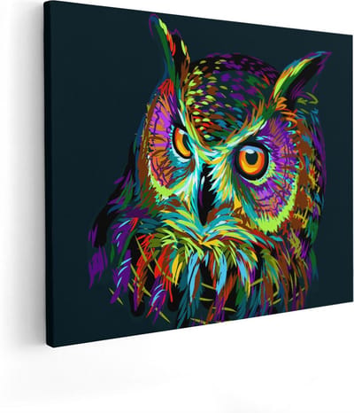Artaza Canvas Schilderij Dierenkop Uil - 50x40 cm - Wanddecoratie Abstract - Muurdecoratie Kleurrijk - Kamer Accessoires Pop Art