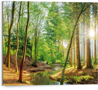 Schilderij Lentebos - 40 x 50 - Hout - REINDERS