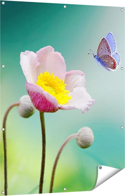 Gards Tuinposter Roze Anemoon Bloem met een Blauwe Vlinder - 90x120 cm - Tuindoek - Tuindecoratie - Wanddecoratie buiten - Tuinschilderij