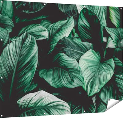 Gards Tuinposter Tropische Groene Bladeren - 150x120 cm - Tuindoek - Tuindecoratie - Wanddecoratie buiten - Tuinschilderij