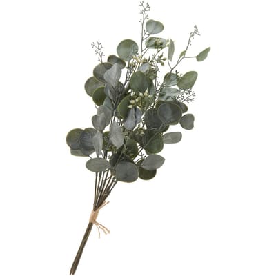 Eucalyptus bos "Ella"