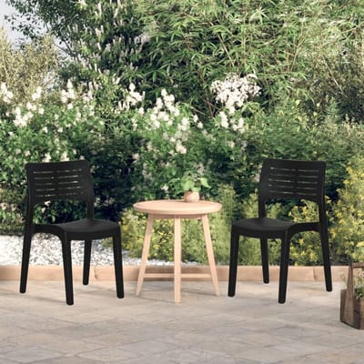 Tuinstoelen 2 stuks - Terrasstoelen buiten - Genieten van buiten - Stapelbaar ontwerp - Niet gespecificeerd - Antraciet