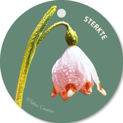 Tallies Cards - kadokaartjes  - bloemenkaartjes - Sterkte - Flowerpower - set van 5 kaarten - condoleance - deelneming - gecondoleerd - afscheid - 100% Duurzaam