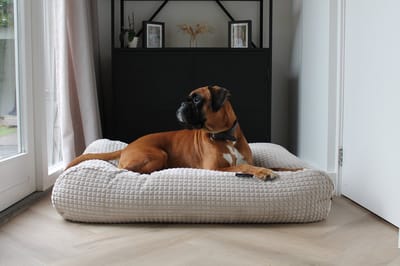 Dog's Companion Hondenkussen / Hondenbed - XS - 55 x 45 cm - Little Square soft sand