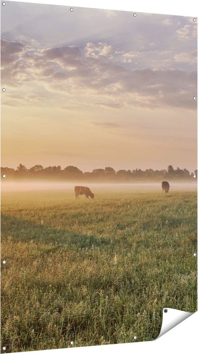Gards Tuinposter Koeien in de Wei tijdens Zonsopkomst - 120x180 cm - Tuindoek - Tuindecoratie - Wanddecoratie buiten - Tuinschilderij