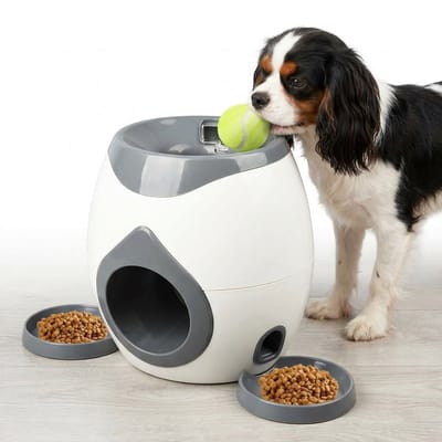 Lomera Snackdispenser voor Honden - Beloningsspel - Intelligentie Speelgoed Hond - Hondenpuzzel - Denkspelletje - Interactief Hondenspeelgoed - Voerpuzzel
