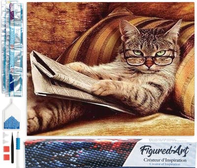 Figured'Art Diamond Painting set Volwassenen 40x50 cm De kenner Chat - 5D DIY Art full drill vierkante diamant - Opgerold canvas