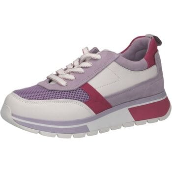 Sneaker in een harmonieuze kleurencombinatie Caprice Lila/Pink/Wit