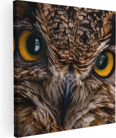 Artaza Canvas Schilderij Dierenkop Uil - 30x30 cm - Klein - Wanddecoratie Dieren - Muurdecoratie Vogel - Kamer Accessoires