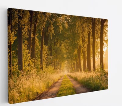 Saammp Canvas Schilderij - Weg door het bos - Nederland - Landschap - Natuur - 45x30 - Foto op canvas - Wanddecoratie - Muurdecoratie Woonkamer - Slaapkamer decoratie - Canvas Print