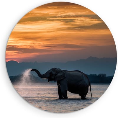 Saammp Muurcirkel Hout - Olifanten in het water - Afrika - Dieren - Ø 90 - Wandcirkel - Wanddecoratie Cirkel - muurdecoratie Woonkamer - Slaapkamer decoratie - Rond Schilderij