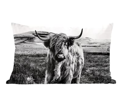 Sierkussens - Kussentjes Woonkamer - 60x40 cm - Zwart - Wit - Schotse Hooglander - Gras