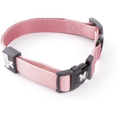 Verstelbare nylon hondhalsband Martin Sellier XS