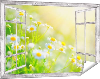 Gards Tuinposter Doorkijk Witte Kamille Bloemen met Zonneschijn - 120x80 cm - Tuindoek - Tuindecoratie - Wanddecoratie buiten - Tuinschilderij
