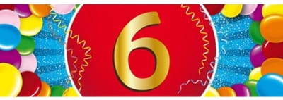 6 jaar leeftijd sticker - 19 x 6 cm - verjaardag - jubileum - versiering