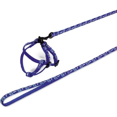 Nylon knaagdierharnas met riem Nobby Pet Carrot