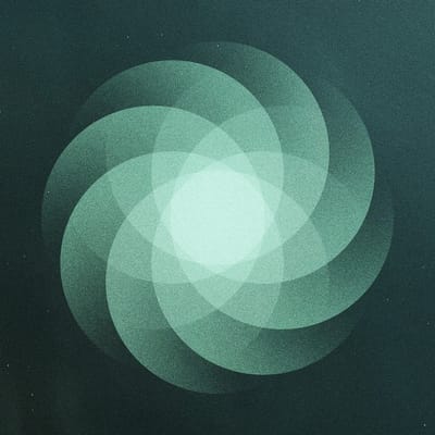 Som - The Shape Of Everything (LP)