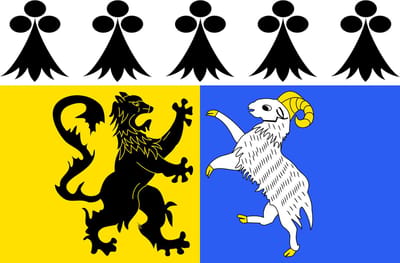 Vlag Finistère 150x225cm