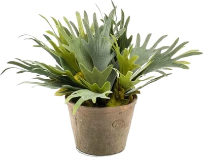 Emerald Kunstplant Staghorn varen - groen - in grijs betonlook pot - 38 cm
