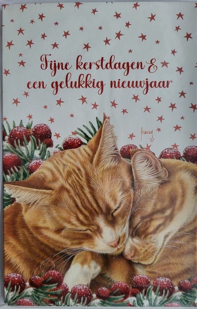 Kerstkaarten 2 rode poezen Francien katten - 8 dubbele wenskaarten met 8 enveloppen - schattige kerstkaart