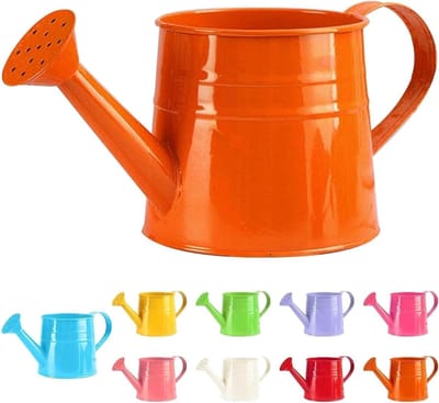 Metalen Gieter - Kleine Sproeier - Planten Water Geven - Lange Tuit - 1 Liter - Gegalvaniseerd