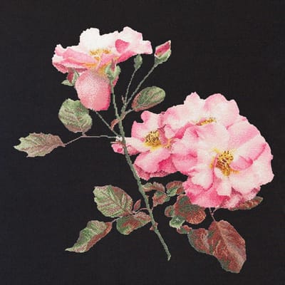 Thea Gouverneur - Borduurpakket met telpatroon - 412.05 - Voorgesorteerde DMC Garens - Rosa Leersum Roos - Zwart Aida - 44 cm x 44 cm - DIY Kit