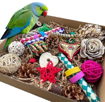 Vogel foerageer speelgoed - Kauw en versnipper speelgoed - Stimuleert natuurlijk gedrag - Gemaakt van natuurlijke materialen