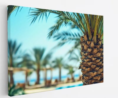 Saammp Canvas Schilderij - Natuur - Palmboom - landschap - 45x30 - Foto op canvas - Wanddecoratie - Muurdecoratie Woonkamer - Slaapkamer decoratie - Canvas Print