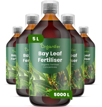 Vloeibare Meststof Voor Laurierblad 5X1 L Voor 5000 L - Npk 3-4-3 - Аromatisch Blad - Gelijkmatige Bladproductie - Sterke Wortelontwikkeling - Hittebestendig - Droogtebestendig - Plantvitaliteit - Herstel Na Snoei - Organifer