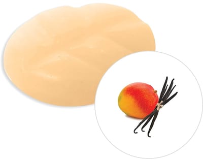 Scentchips® Vanille & Mango - Geurblokjes - Huisparfum - Geurchips - Waxmelts - Geschikt voor Geurbrander en Waxbrander - M - 13 Stuks