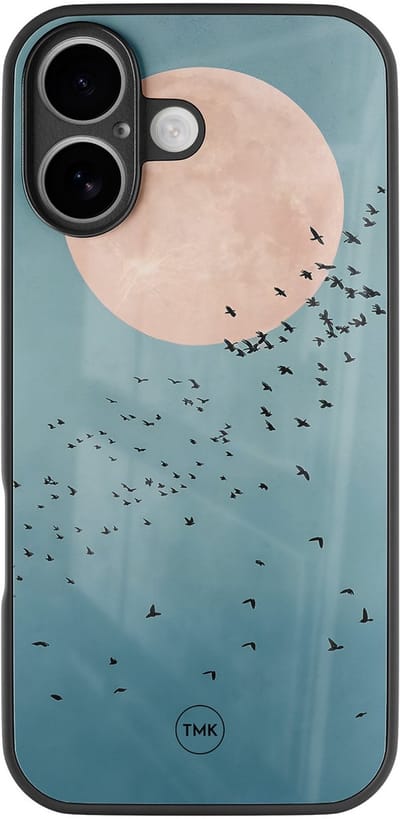 Hoesje geschikt voor Apple iPhone 16 - Moon birds - Blauw - TPU luxe case (glossy toplaag) - Vogel - Hardcase backcover zwart