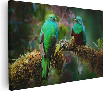 Artaza Canvas Schilderij Quetzal - 30x20 cm - Klein - Wanddecoratie Vogels - Muurdecoratie Tropisch - Kamer Accessoires Woonkamer