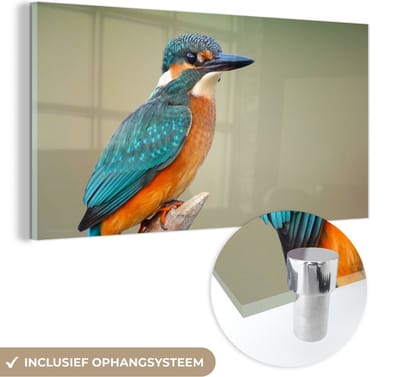 MuchoWow® Glasschilderij 40x20 cm - Schilderij acrylglas - Vogel - IJsvogel - Tak - Foto op glas - Schilderijen
