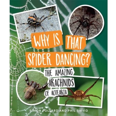 Why Is That Spider Dancing? - Dr. Simon Pollard