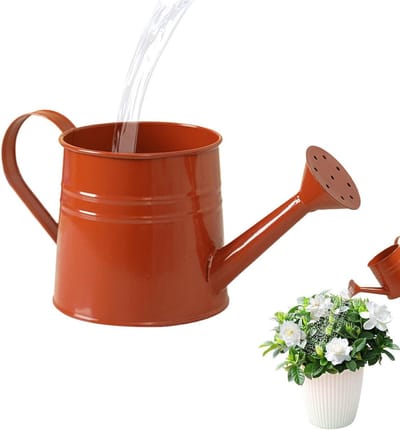 Plantengieter - Waterkruik - Planten Verzorgen - Lange Uitloop - 1 Liter - Oranje