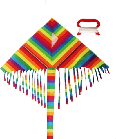 Regenboog Vlieger - Eenlijns Vlieger - Buiten Spelen - Eenvoudig Bestuurbaar - 60 x 120 cm - Regenboog