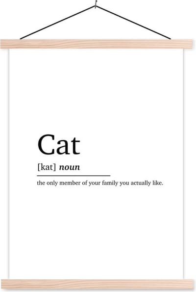 Posterhanger incl. Poster 87x120 cm - Schoolplaat - Quotes - Woordenboek - Spreuken - Kat definitie - Cat - Textielposter - Blanke latten