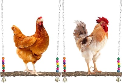 Kippen Schommel Speelgoed - Zitstok Vogel - Vermaak Dieren - Natuurlijk Hout - 2 stuks - Meerkleurig