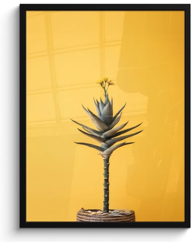 Poster in lijst - Fotolijst 50x70 cm - Posters - Plant - Minimalistisch - Bloem - Geel - Posterlijst zwart - Decoratie - Wanddecoratie woonkamer - Muurdecoratie slaapkamer