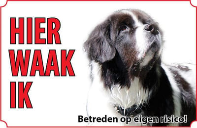 Bord Hond Landseer E.C.T.