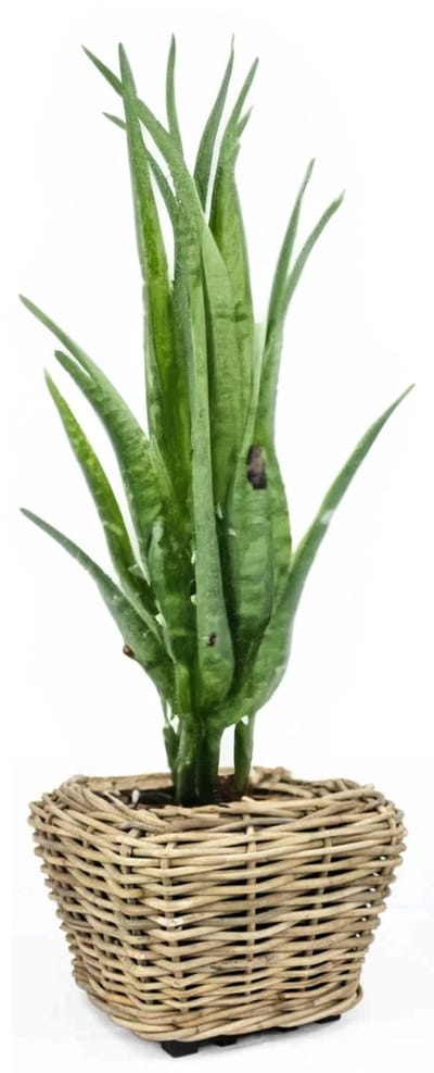 Van der Leeden Planten/bloemen mand - rechthoekig - rotan - gevlochten riet - 48 x 48 x 37 cm - drypot