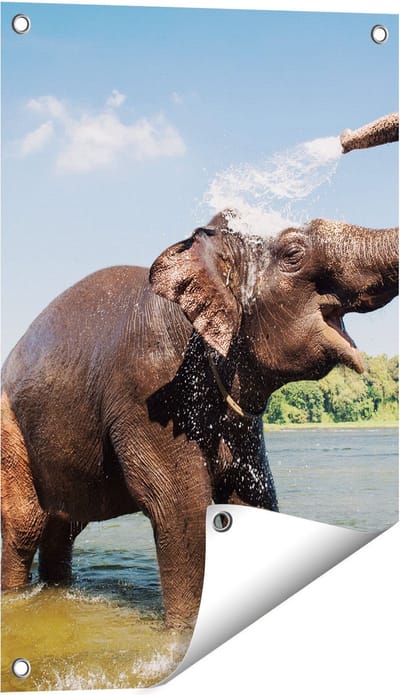 Gards Tuinposter Vrolijke Olifant in het Water - 40x60 cm - Tuindoek - Tuindecoratie - Wanddecoratie buiten - Tuinschilderij