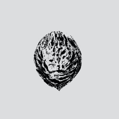 Bebop Armageddon (Detours & Offcuts From Season Of The Peach) - Black Lips